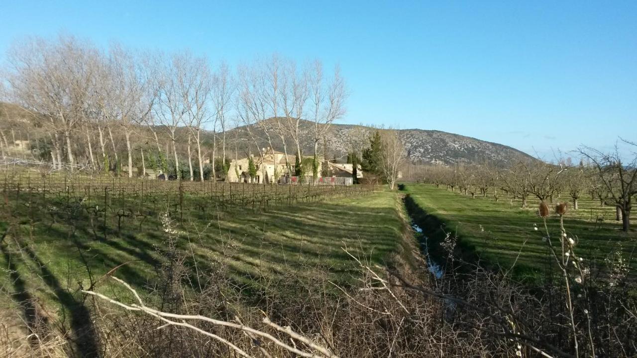 Gite Aux Tournesols Malaucène Dış mekan fotoğraf