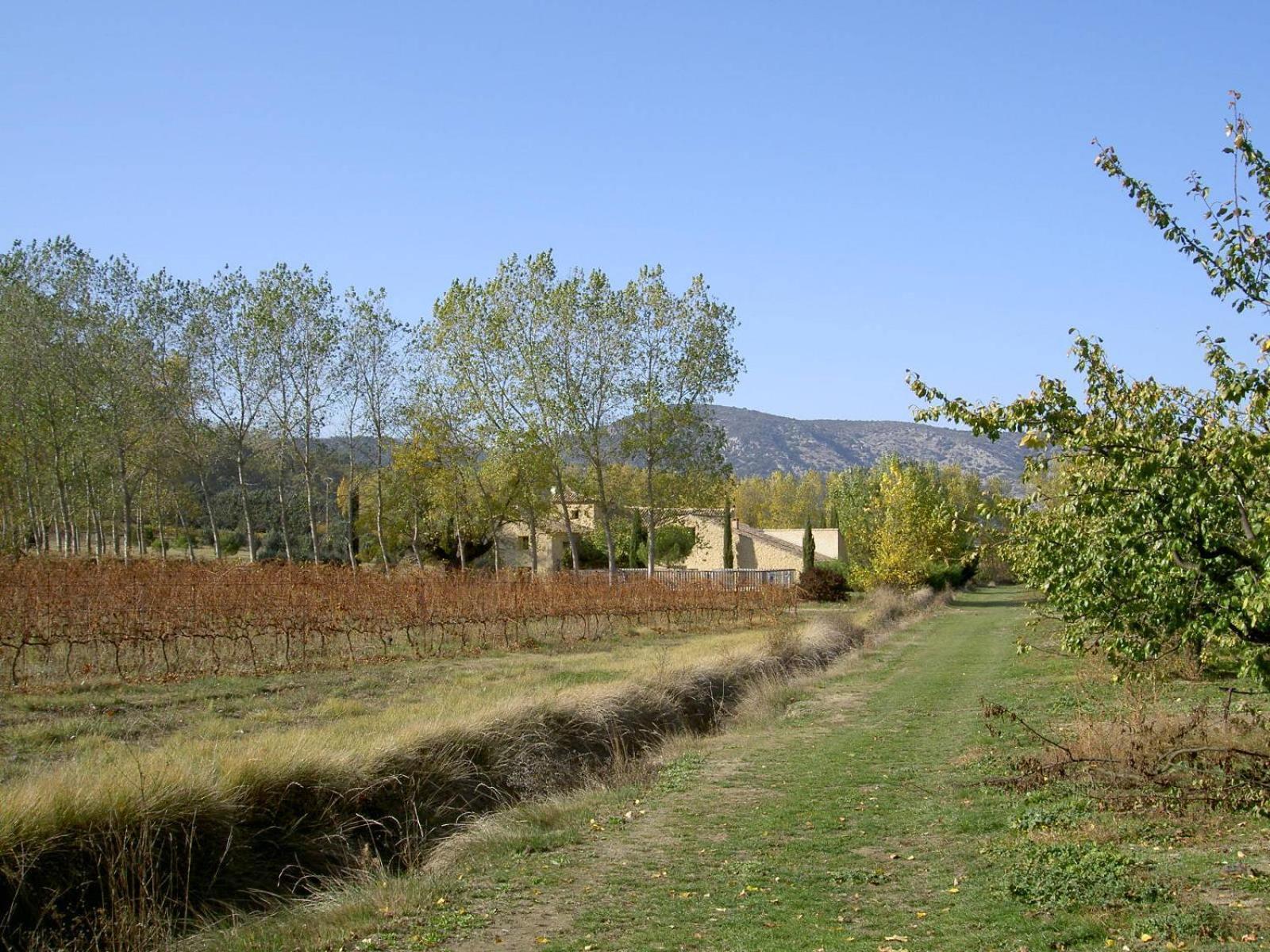 Gite Aux Tournesols Malaucène Dış mekan fotoğraf